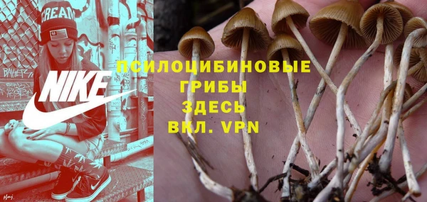 не бодяженный Аркадак