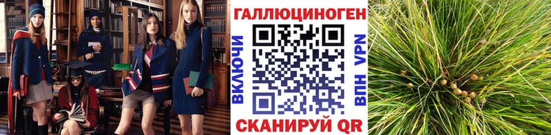 магазин продажи наркотиков  Мелеуз  Псилоцибиновые грибы ЛСД 